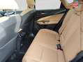Lexus NX 450h+ 450h+ 292ch Luxe Plus 4WD MY26 Grün - thumbnail 11