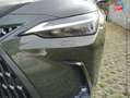 Lexus NX 450h+ 450h+ 292ch Luxe Plus 4WD MY26 Grün - thumbnail 13
