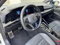 Volkswagen Golf VIII Lim. R 20 Years 4Motion Blanc - thumbnail 11