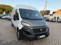 Fiat Ducato 2.3 JTD 140 L4H2 RS: 4035 mm EURO 6 Weiß - thumbnail 7