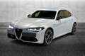 Alfa Romeo Giulia 2.0 Turbo 280 CV AT8 AWD Q4 Competizione Argento - thumbnail 1