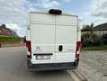 Citroen Jumper 3.0 HDi L1H1 FAP (EU5) Blanc - thumbnail 3