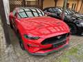 Ford Mustang GT V8 Premium Pack Klappenauspuff LED Licht Red - thumbnail 4
