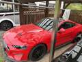 Ford Mustang GT V8 Premium Pack Klappenauspuff LED Licht Rot - thumbnail 5