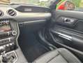 Ford Mustang GT V8 Premium Pack Klappenauspuff LED Licht Червоний - thumbnail 13