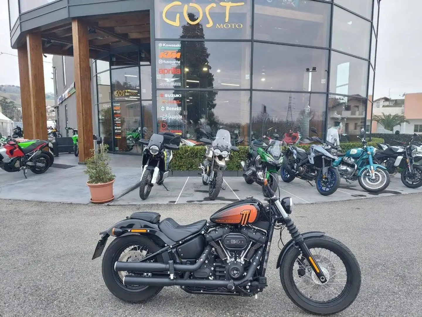 Harley-Davidson Softail Softail-Cruiser - 1