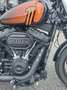 Harley-Davidson Softail Softail-Cruiser - thumbnail 9
