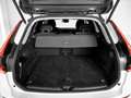 Volvo XC60 XC60 II 2022 2.0 b4 Momentum Pro awd auto Weiß - thumbnail 6