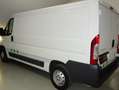 Peugeot Boxer Wit - thumbnail 7
