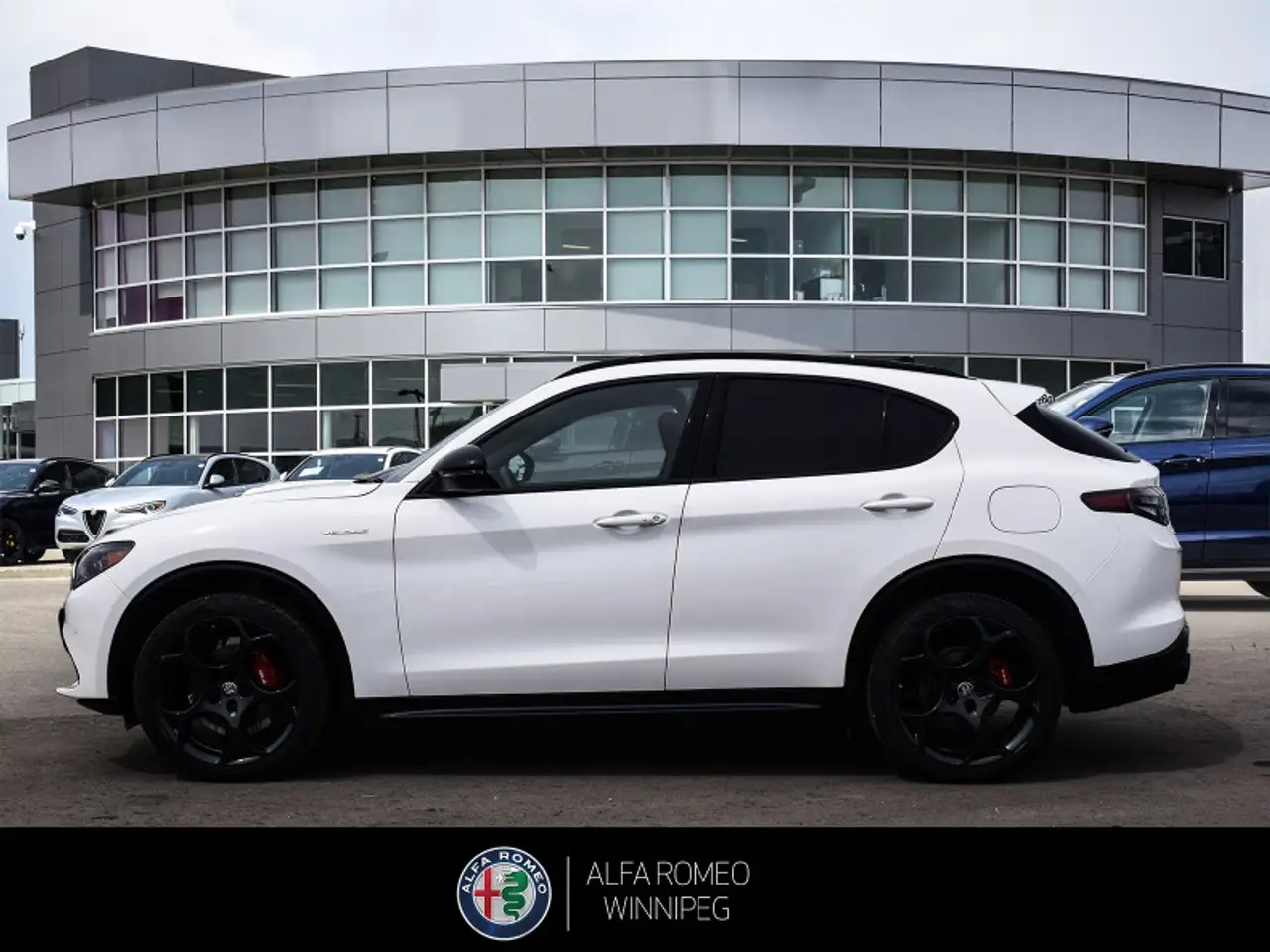 Alfa Romeo Stelvio снимка Alfa Romeo Stelvio