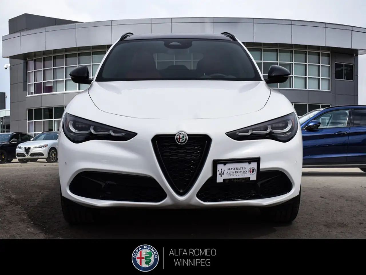 Alfa Romeo Stelvio снимка Alfa Romeo Stelvio