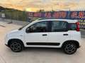 Fiat Panda Panda hybrid (x5 unità disponibili aziendali) Blanc - thumbnail 9