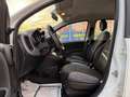 Fiat Panda Panda hybrid (x5 unità disponibili aziendali) Blanc - thumbnail 12