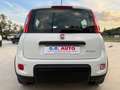 Fiat Panda Panda hybrid (x5 unità disponibili aziendali) Bianco - thumbnail 5