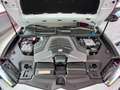 Lamborghini Urus Panorama Garantie B&O 360° ACC Hud Massage Weiß - thumbnail 30