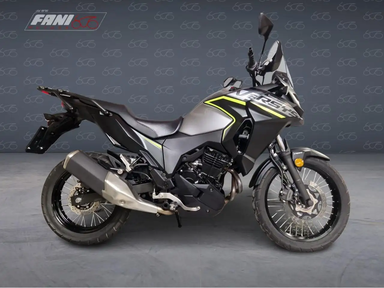Kawasaki Versys-X 300