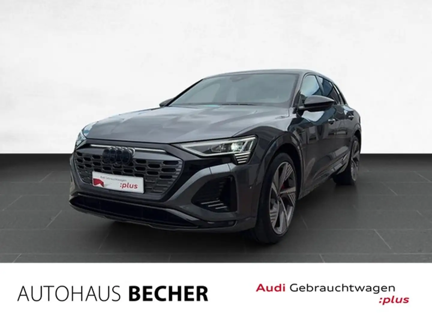 Audi Q8 S line 55 e-tron quattro /AHK/HuD/Sitzhz/LED Grau - 1