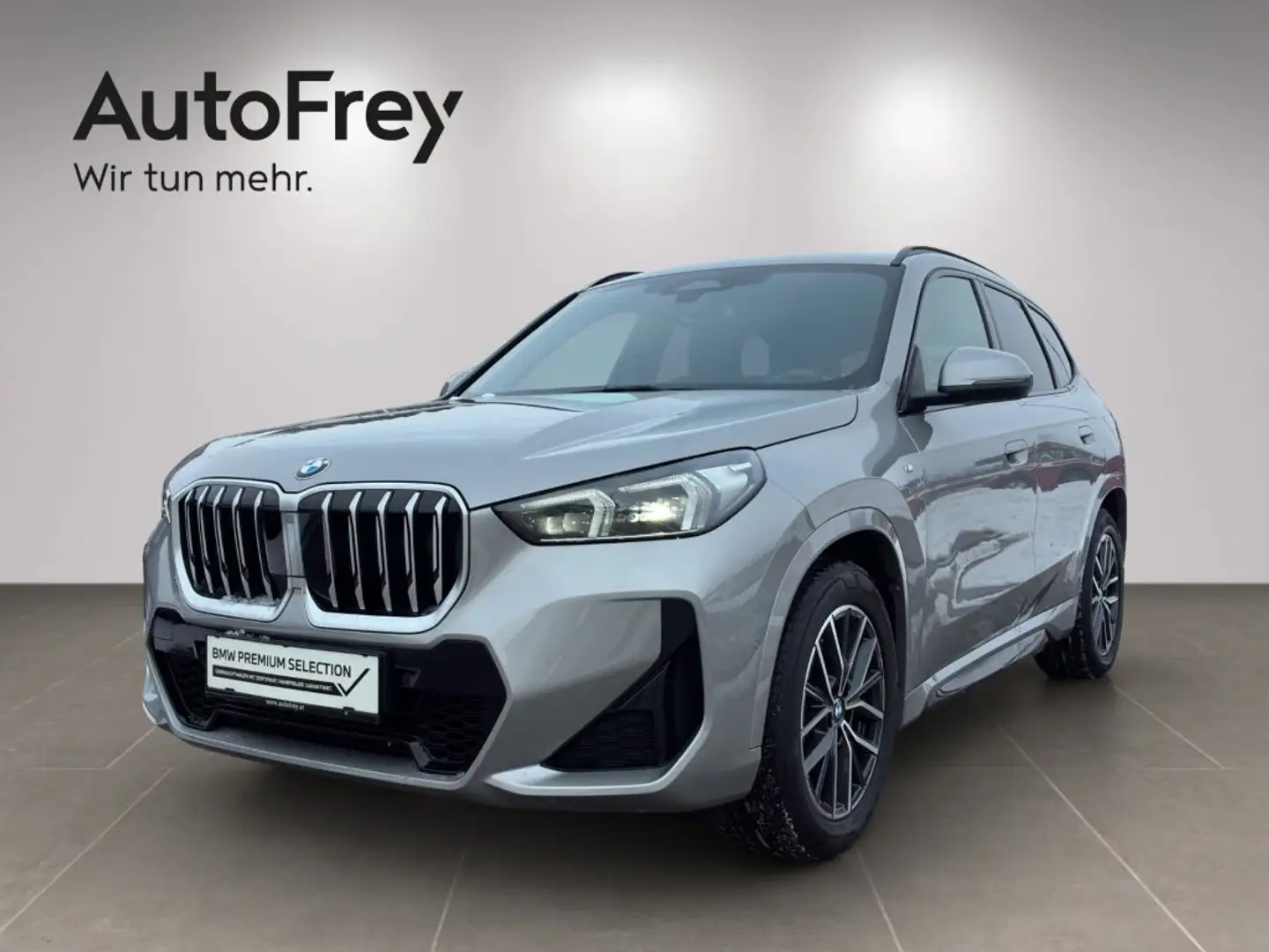 BMW X1 sDrive20d Argent - 1