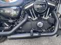 Harley-Davidson Iron 883 iron. leggere nelle foto - thumbnail 13