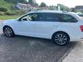 Skoda Octavia OCTAVIA COMBI 2.0 TDI 150CV DSG7 Blanc - thumbnail 6