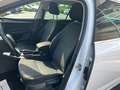 Skoda Octavia OCTAVIA COMBI 2.0 TDI 150CV DSG7 Blanc - thumbnail 13