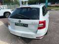 Skoda Octavia OCTAVIA COMBI 2.0 TDI 150CV DSG7 Blanc - thumbnail 7