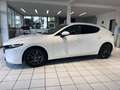 Mazda 3 Mazda 3 G122 Comfort +/SO/ST/PR/TE Weiß - thumbnail 5
