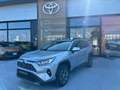 Toyota RAV 4 RAV4 2.5 HV (222CV) E-CVT AWD-i Dynamic Grigio - thumbnail 1