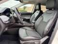 Jeep Compass 1.6 MJET 130CV NAVI+RCAM+TETTO E CERCHI BLACK Bianco - thumbnail 10