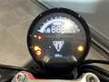 Triumph Trident 660 Bleu - thumbnail 7