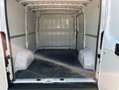 Opel Movano Blue HDI/Kasten L1H1 Klima Weiß - thumbnail 5