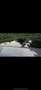 Porsche Macan S Diesel Aut. Gris - thumbnail 6