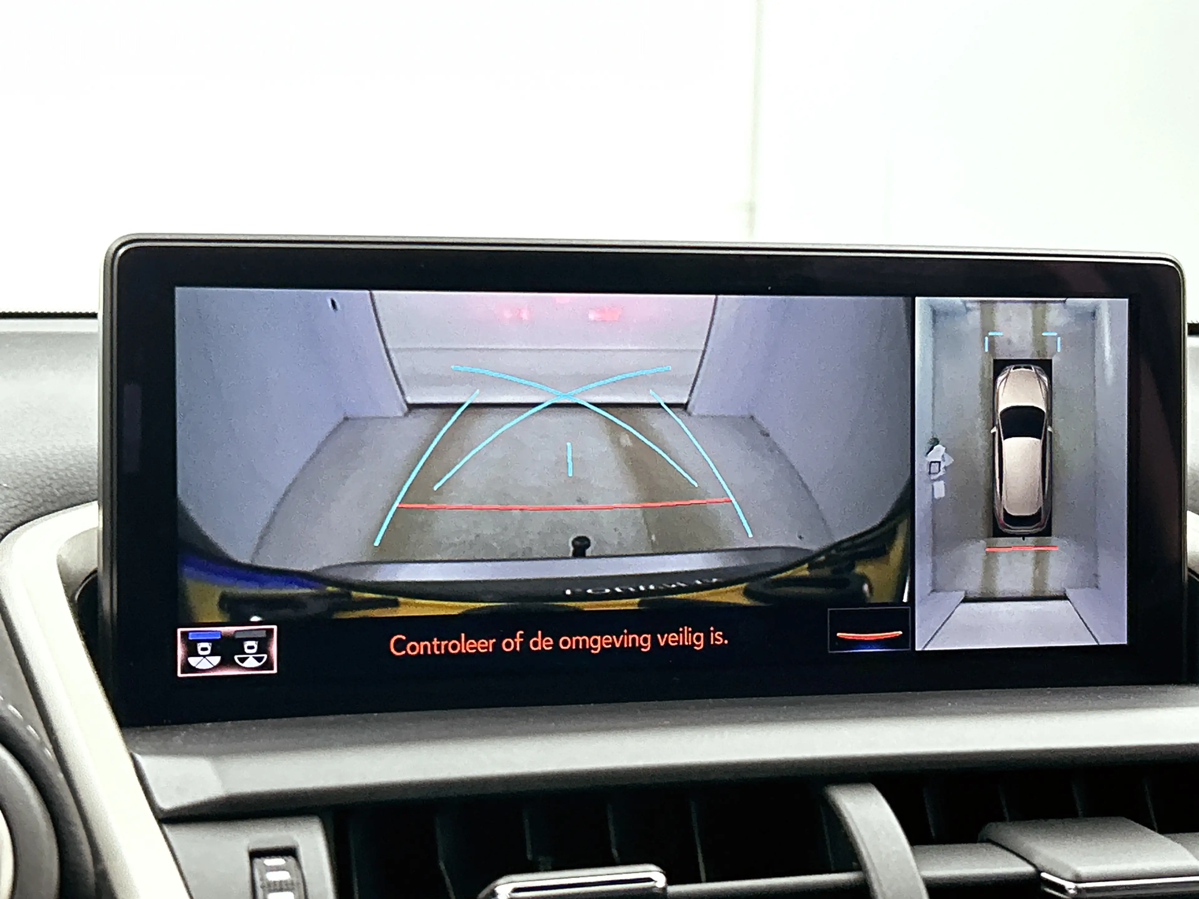 Lexus NX 300h AWD Executive Line | President Pack | Mark Levinso — photo 9