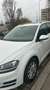 Volkswagen Golf Variant Golf Variant Sky BMT 1,4 TSI DSG Sky Weiß - thumbnail 2