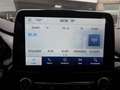 Ford Fiesta ST-Line X, Fahrerassistenzp., Stylingp., Komfortp. Weiß - thumbnail 16