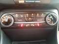 Ford Fiesta ST-Line X, Fahrerassistenzp., Stylingp., Komfortp. Weiß - thumbnail 17