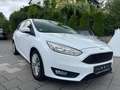 Ford Focus 2.0 TDCI Turnier Business Navi Kamera Weiß - thumbnail 2