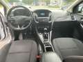 Ford Focus 2.0 TDCI Turnier Business Navi Kamera Weiß - thumbnail 10