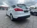 Ford Focus 2.0 TDCI Turnier Business Navi Kamera Weiß - thumbnail 4