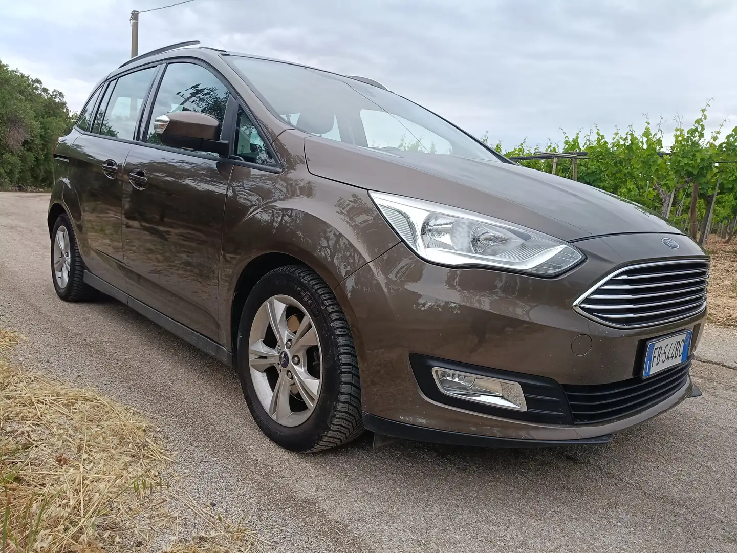 Ford C-Max C-Max 7 III 2015 C-Max7 1.5 tdci Plus s Marrone - 1