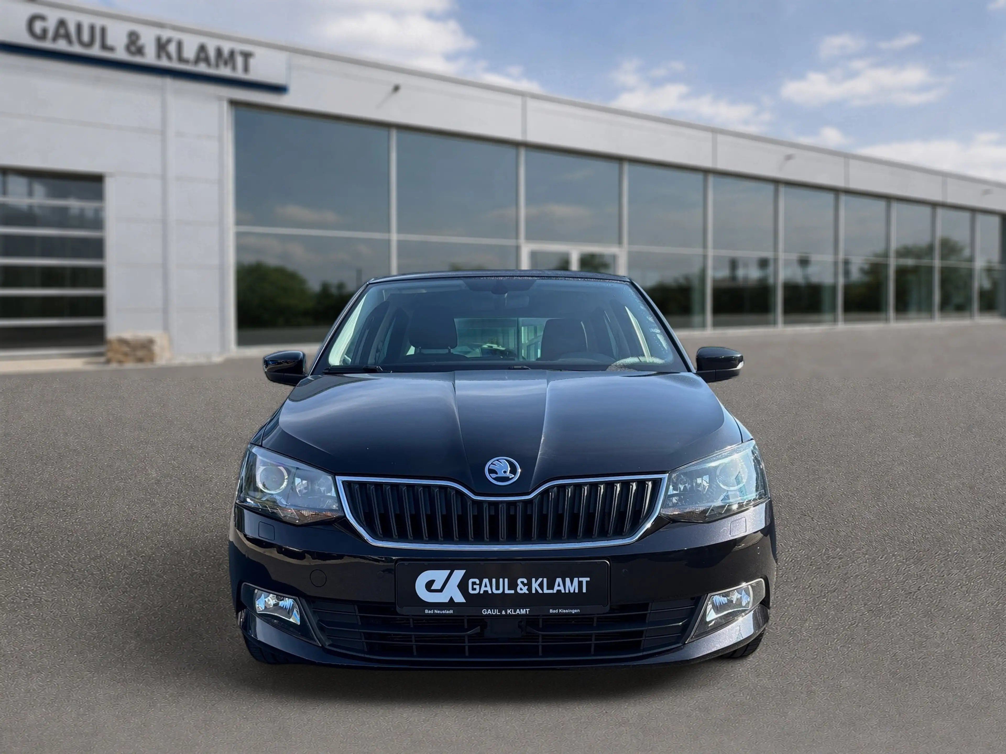 Skoda Fabia Joy — photo 9