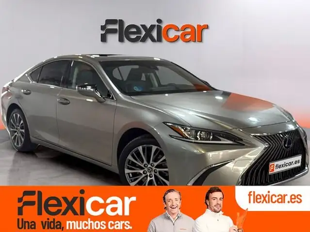 Lexus ES 300 300h Business