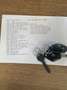 BMW 320 320d touring M Sportpaket Auto el.SSD ab. AHK Noir - thumbnail 3