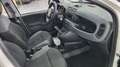 Fiat Panda S&S 4x4 Bianco - thumbnail 15