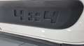 Fiat Panda S&S 4x4 Bianco - thumbnail 11