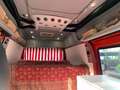 Caravans-Wohnm Mercedes-Benz 310 4X4 GASOLINA OFFROAD CAMPER Rot - thumbnail 25