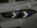 BMW X6 40 d xDrive M SPORT,H/K,CARBON,PANO,22"FULL Gris - thumbnail 8