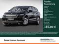 Skoda Enyaq 50 LOFT NAVI LED DAB TEMPOMAT BLUETOOTH Zwart - thumbnail 1