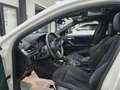 BMW X2 X2 F39 xdrive20d Msport auto (Tetto-extra full) Bianco - thumbnail 8