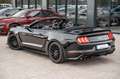 Ford Mustang GT 5,0 Cabrio GT 500 SHELBY PREMIUM VOLL Schwarz - thumbnail 15